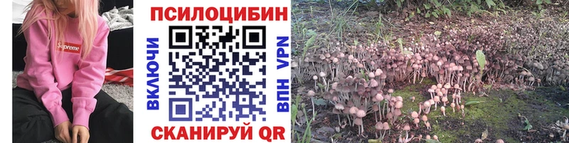 Купить  Луховицы  Псилоцибиновые грибы Psilocybine cubensis 
